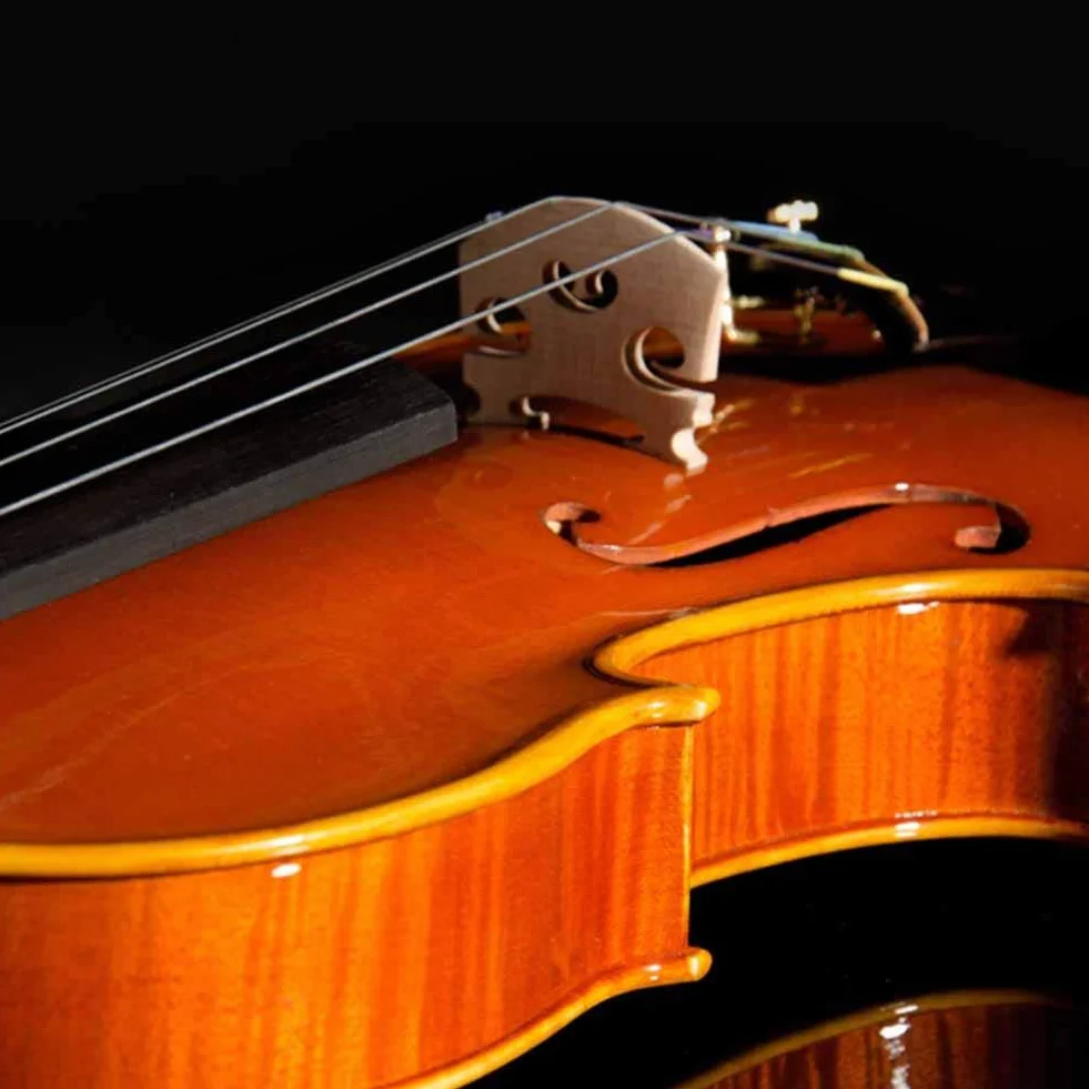 Ponte per violino, 5 pezzi in legno di acero per violino Ponte per violino Parte accessori per violino per 3/4 1/2 1/8 1/4(1/4)