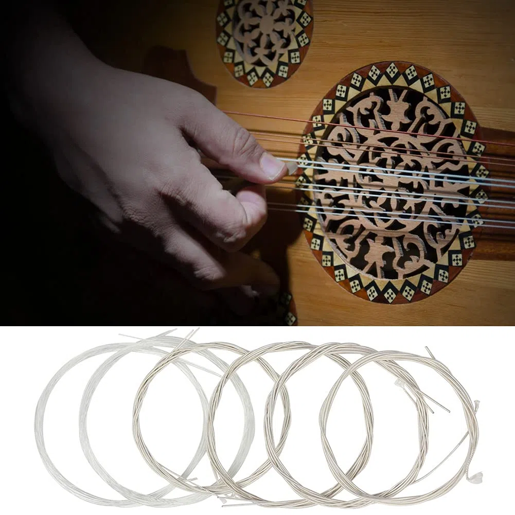 Stringhe Oud in Lega di Nylon Trasparente e in Lega di Rame Argento per Risonanza e longevità Migliorate - Accessorio di Sostituzione di 10 Stringhe per Musicisti Oud (10strings) (11STRINGS)