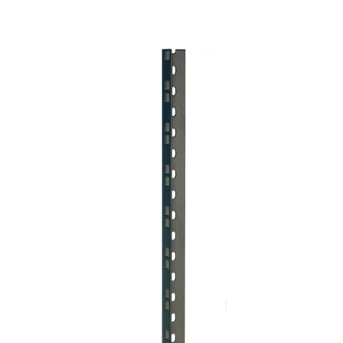 Adam Hall 61532 Blk - Heavy Duty Rack Strip Black 45 U - Guide e sezioni di Rack