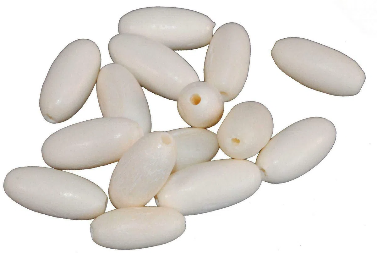 1x Terrapin Trading Sostituzione Sitar Bone Fine Tuning Bead Mankar ricambi ricambi indiana india