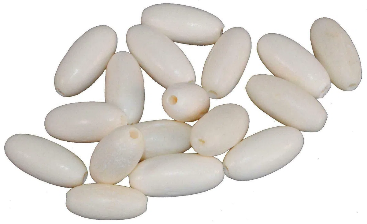 1x Terrapin Trading Sostituzione Sitar Bone Fine Tuning Bead Mankar ricambi ricambi indiana india