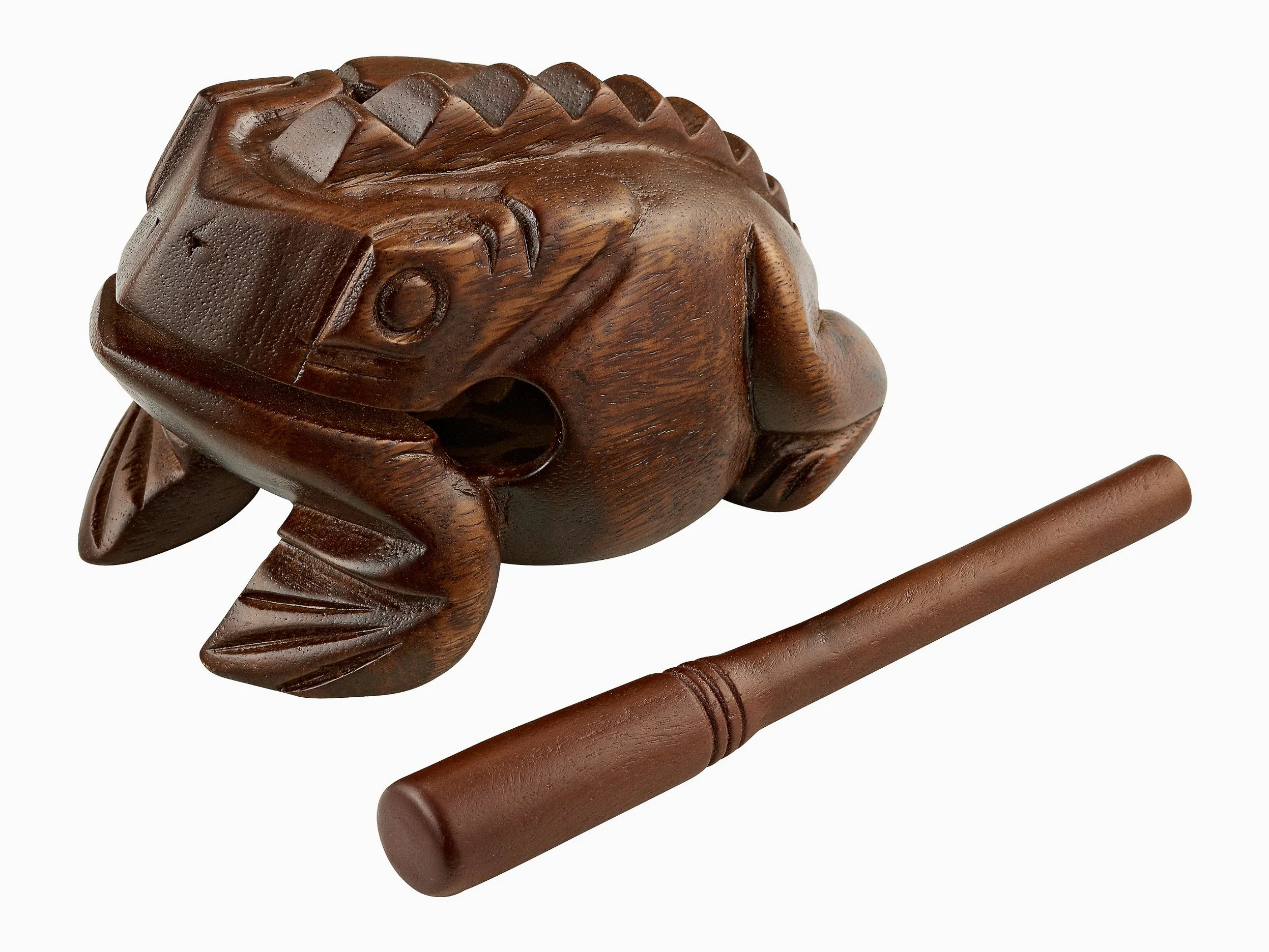Meinl Percussion FROG-L - Guiro a forma di rana, misura grande, colore: Marrone