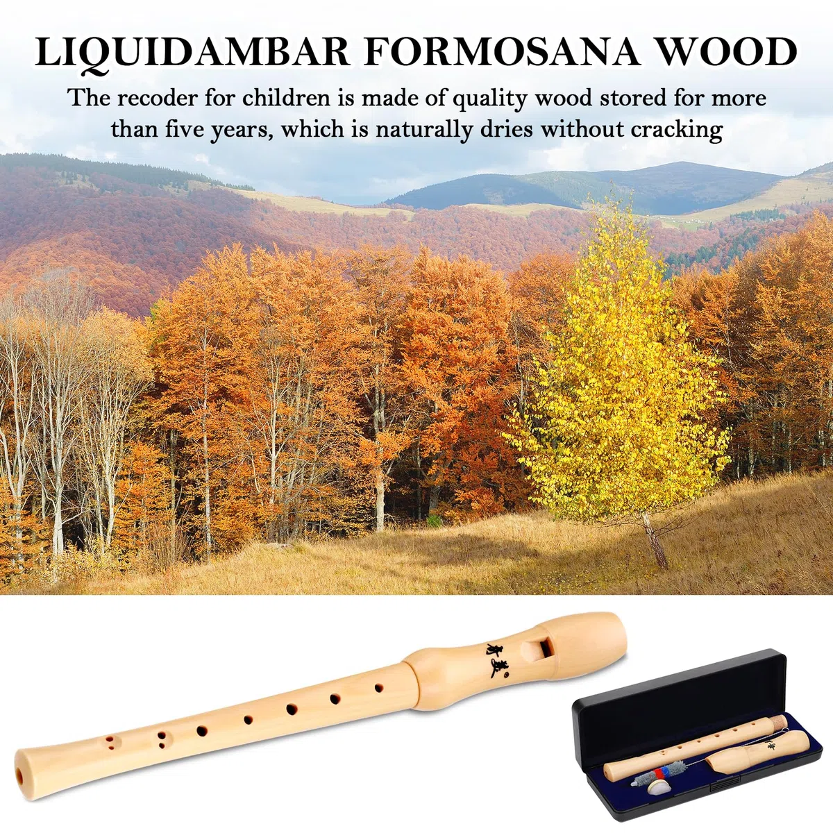 Flauto Dolce Legno, Flauto Soprano in Do, Scuola Elementare e Media in Digitazione Barocca, Bambini, Flauti a 8 Fori Design Staccabile, con Scovolino e Scatola Regalo