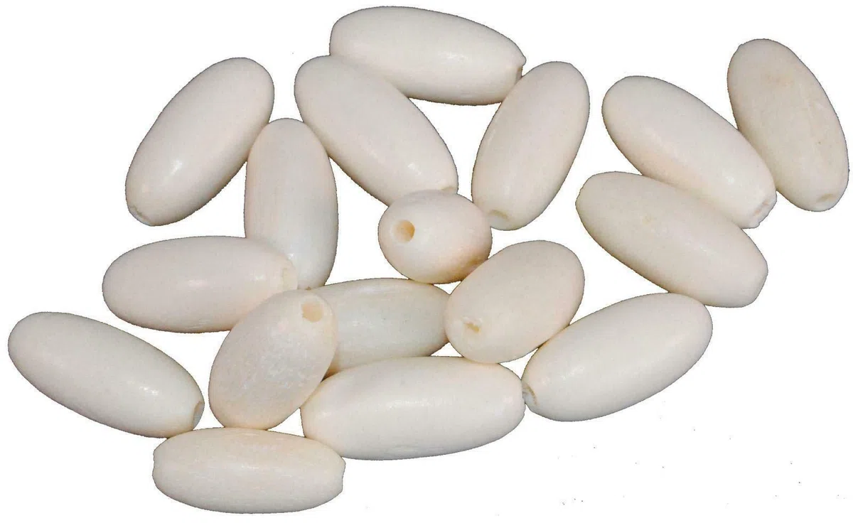 1x Terrapin Trading Sostituzione Sitar Bone Fine Tuning Bead Mankar ricambi ricambi indiana india